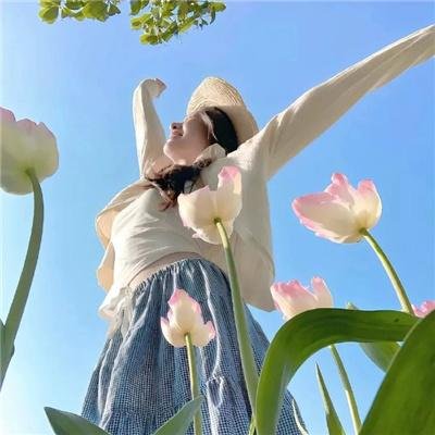 明月祭君心